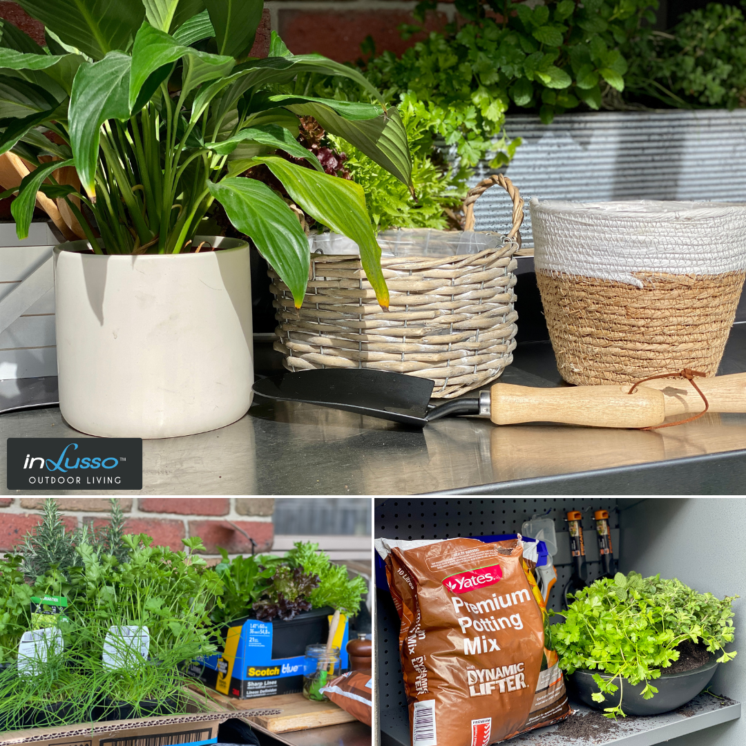 An outdoor BBQ kitchen with potted herbs 